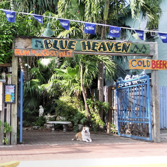 Blue Heaven entrance gate